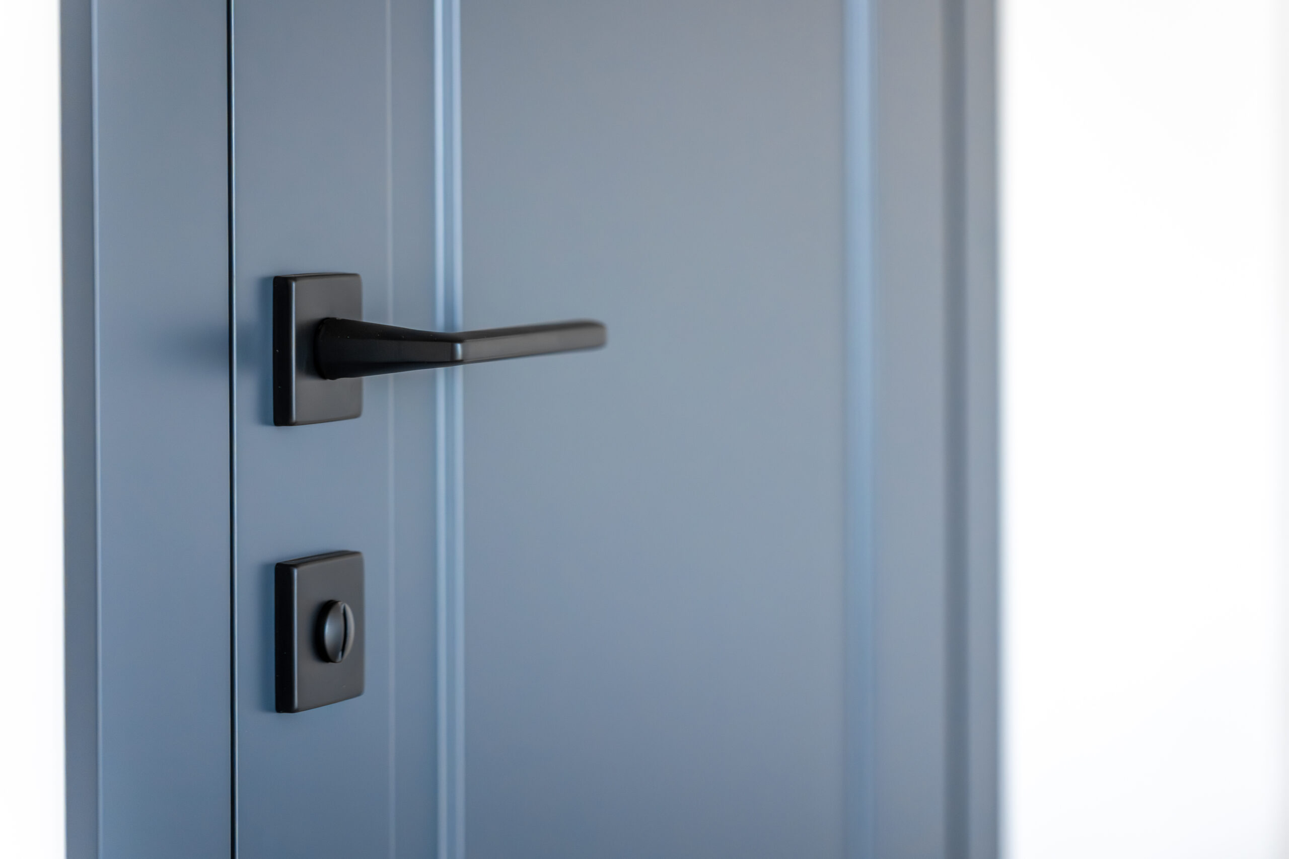 Blue interior door. Sleek handle. Light minimalism.