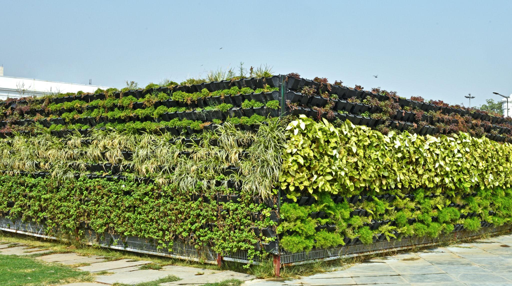 GREEN WALL VERTICAL GARDEN ELEVATION