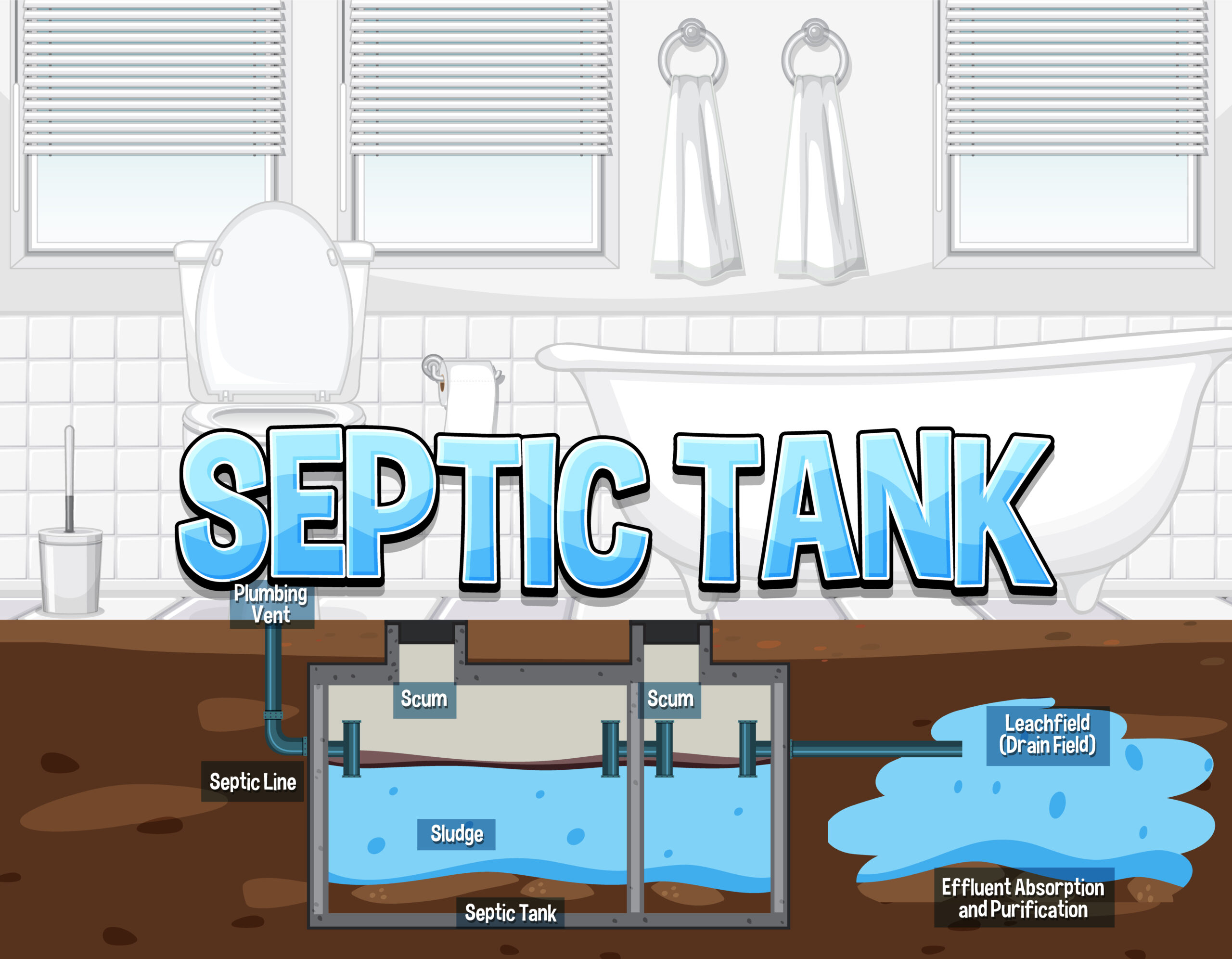 Septic tank system diagram